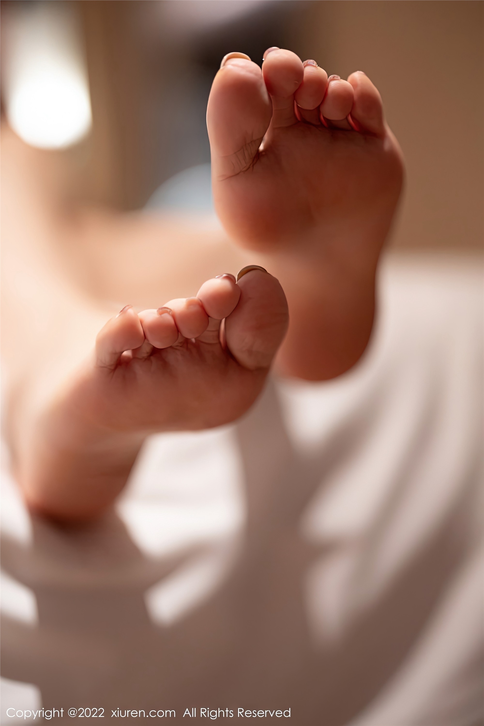 Xiuren秀人网 2022.12.22 NO.6033 徐莉芝Booty